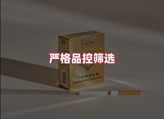 专业团队